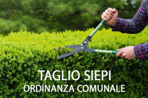 Ordinanza taglio piante pericolose e siepi sporgenti sulle strade